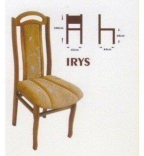 Irys